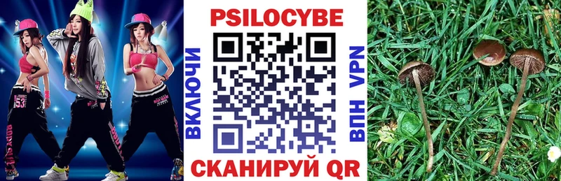 Галлюциногенные грибы мухоморы  нарко площадка наркотические препараты  Шимановск 
